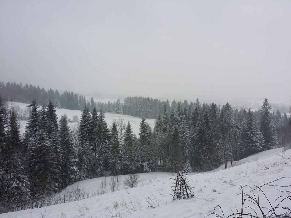 Apartament U Ewki Rdzawka Esterno foto