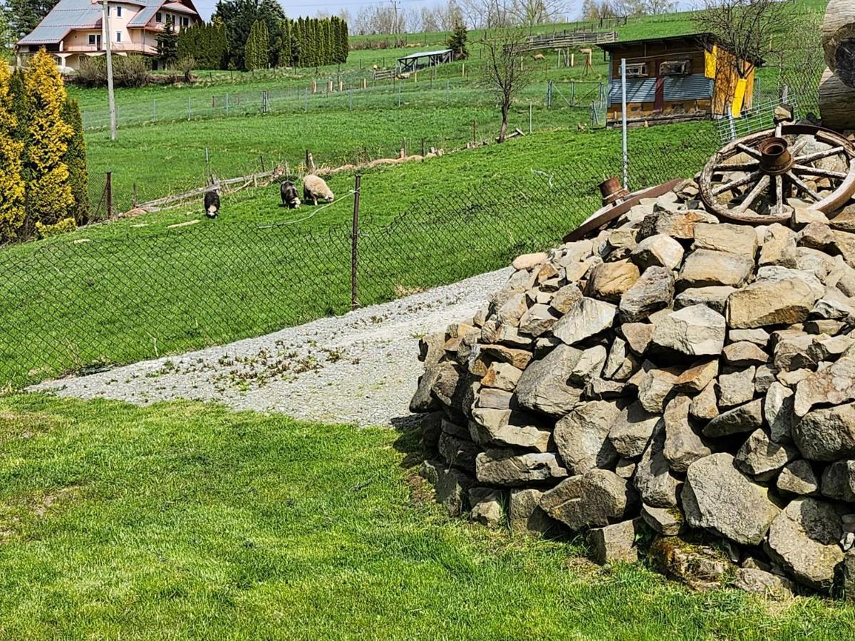 Apartament U Ewki Rdzawka Esterno foto