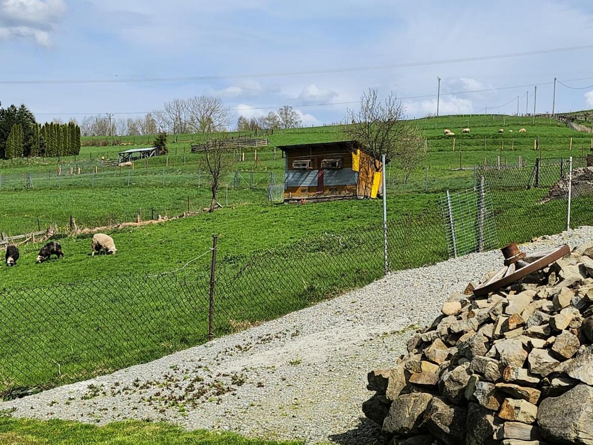 Apartament U Ewki Rdzawka Esterno foto